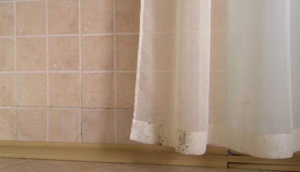 Best Mold Remediation for Healthcare Facilities  in Canton, PA