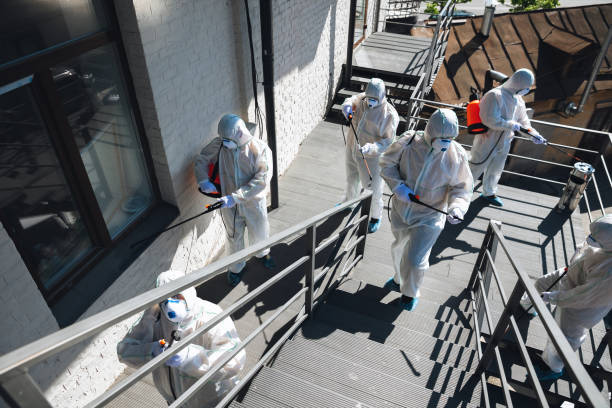 Best Environmental Consulting for Mold Prevention  in Canton, PA