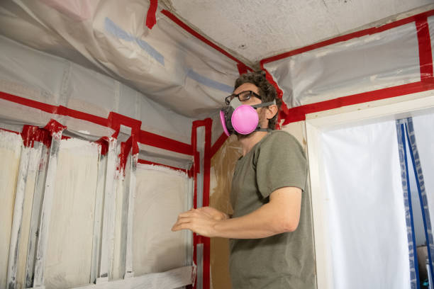 Professional Mold Removal in Canton, PA