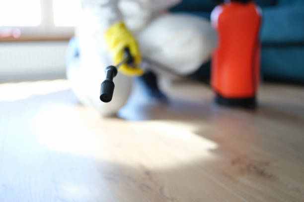Best Post-Remediation Verification Testing  in Canton, PA