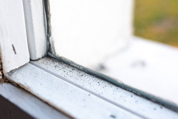 Best HVAC Mold Inspection and Cleaning  in Canton, PA