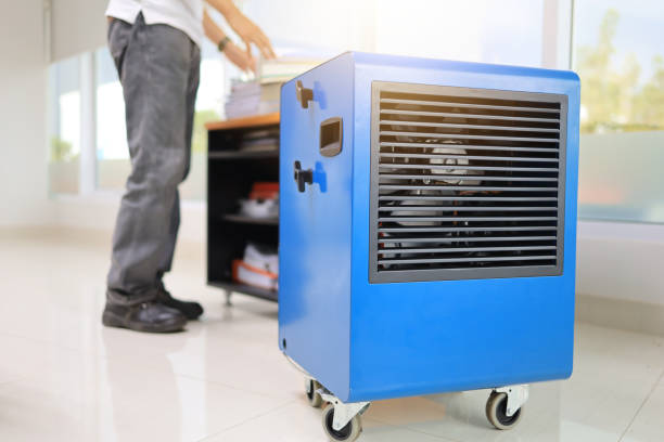 Best Attic Mold Removal  in Canton, PA
